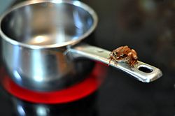Frog on a Saucepan - courtesy of Wikipedia